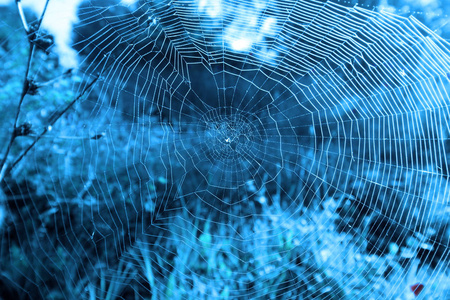 蜘蛛网, 抽象, 在蓝色