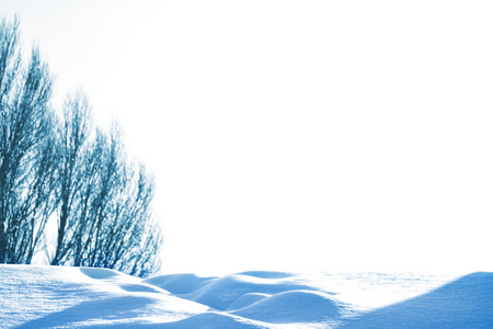 冰冻的冬季森林与雪覆盖了树