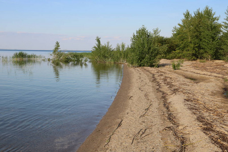 河的沙地在晴朗的夏天天气与少量灌木