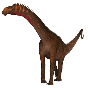 白垩纪恐龙图片
