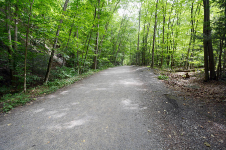 阴影路径穿过森林在 Taughannock 瀑布州立公园纽约