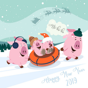 圣诞套装可爱的小猪。新年象征。矢量插图