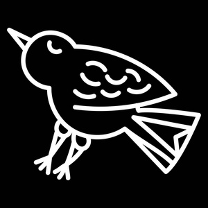 抽象鸟标志设计。创意鹰线符号。豪华线性猎鹰鹰标识。海报, 纹身, t恤, 卡片设计的独立矢量插图