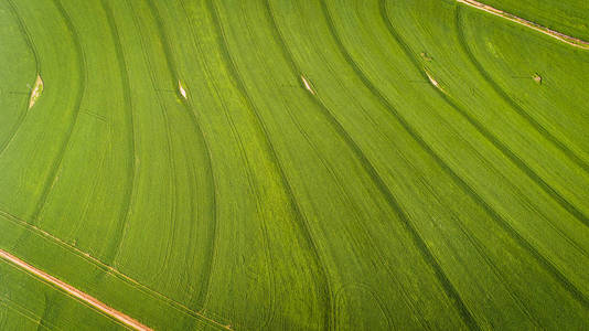 南非西角 Swartland 地区亮绿色小麦田广角无人机图像