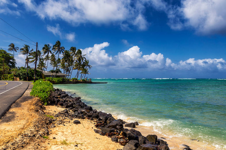 在夏威夷瓦胡岛 Kualoa 的海洋和棕榈树附近的道路