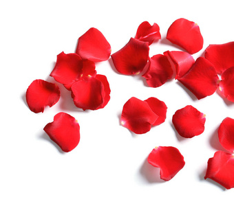 白色背景上的红玫瑰花瓣, 顶部视图