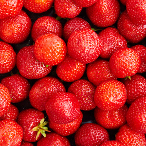 新鲜的红色草莓特写。食品背景