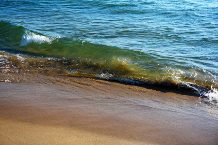 密歇根湖的透明绿色波浪。沙子在水中闪耀。在波浪的波峰上的白色泡沫。水流过湿沙子。沙滩海岸线。密歇根州, 大避风港城市