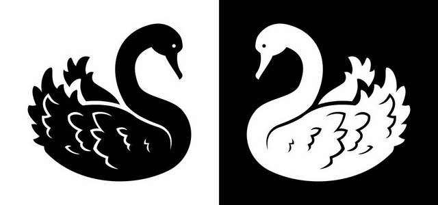 大白鹅黑白黑白天鹅侧面视图剪影照片