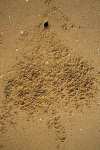 沙质海滩蟹足迹轨迹与螃蟹洞, 抽象自然背景