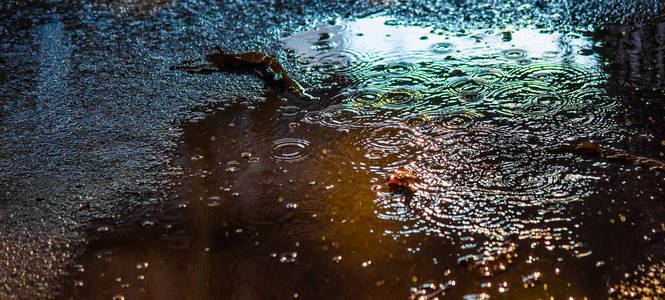 路面雨滴飞溅的图像