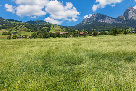 Schwyz 瑞士小行政区的夏日景色, Kleiner Mythen 和格罗瑟 Mythen 峰会的背景。这幅画是在 Schwy