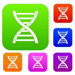 Dna 集收集