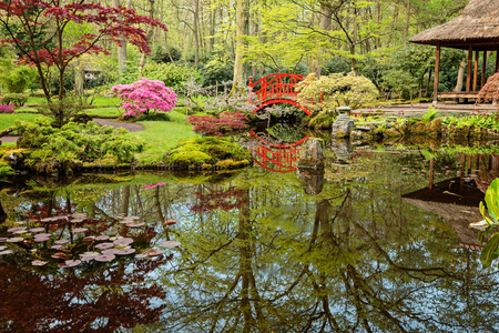美丽的日本庭院与红色桥梁在春天
