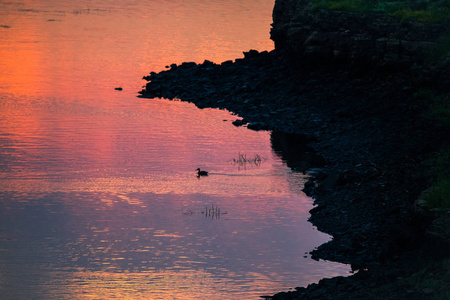 明亮, 五颜六色的傍晚景色在河道加瓦河粉红色和紫色色调。拉脱维亚, 北欧的壮观的日落风光