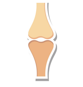 骨关节图标图片