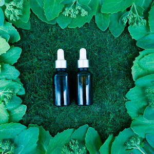 新鲜多汁的绿色叶子与有机油瓶, 平躺, 生物, 自然概念