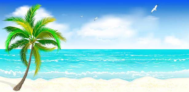 热带海岸的景观。海岸边的风景与棕榈树。海岸边与棕榈树, 蓝天和白云。棕榈树对海, 天空和云彩的背景
