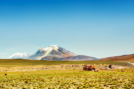 在玻利维亚高原高地的火山