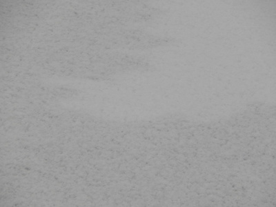 冬季纹理雪白色背景和对象