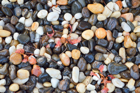 黄颜色石头图片-黄颜色石头素材-黄颜色石头插画-摄图新视界