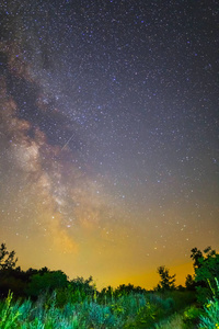 夜场面银河在森林空地之上