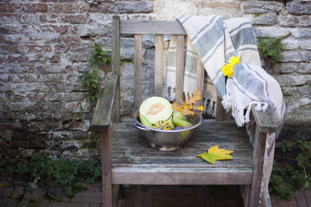 秋天的南瓜和瓜在一把老木椅上, 在花园里收割