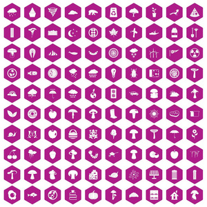 100蘑菇图标六角紫色