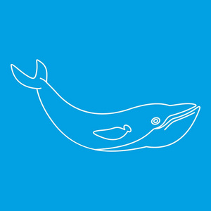 鲸鱼鱼图标，大纲样式