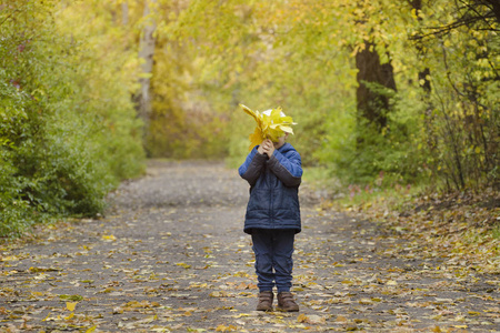 小男孩躲在一堆黄色的叶子后面。秋天的树林