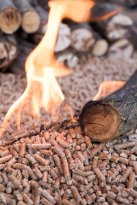 木材生物量在火焰关闭