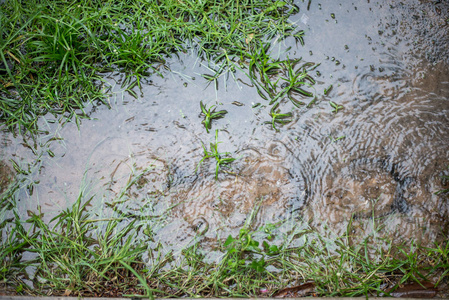 雨水滴落在水中, 背景