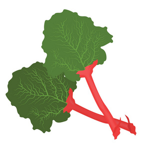 绿叶和红花梗, 甜菜蔬菜图标图形
