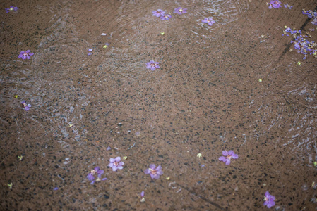 雨水滴落在水中, 背景