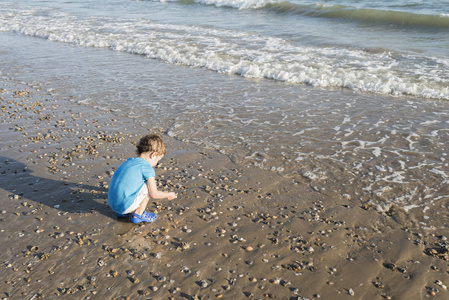 蓝色衬衫的孩子在海边玩沙子和贝壳