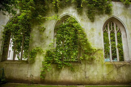 一个在伦敦被遗弃的教堂的美丽细节。在建筑废墟上的常春藤生长。美丽, 优雅的外观