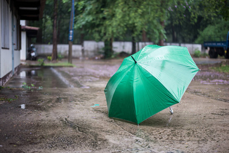 绿色雨伞放在雨中图片