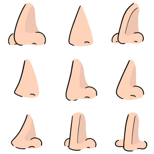 线条感向量集的鼻子照片