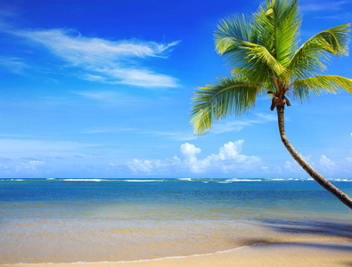 棕榈树在白色热带海滩。旅游背景