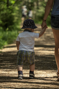 小婴儿散步自然小径联合国阳光森林远足活动