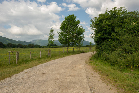 西班牙 Burguete 穿越圣地亚哥的道路