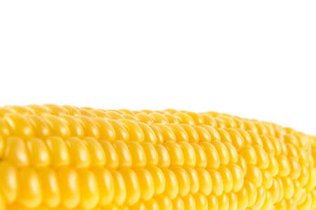 玉米在隔绝的白色背景下