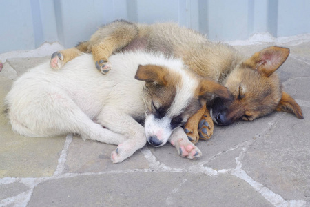 依偎在一起人图片