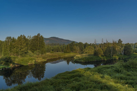 Tepla 伏尔塔瓦河河在夏天早晨在国家公园舒马瓦山