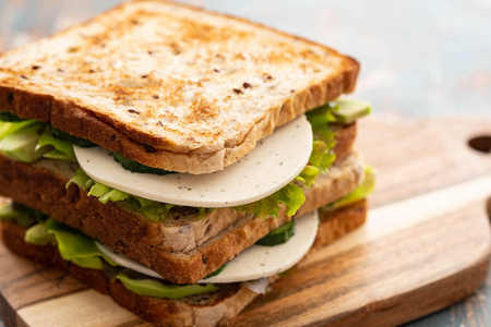 健康自制素食蔬菜三明治配生菜。黄瓜, 鳄梨, 奶酪。复制空间