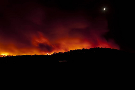 瓜达拉哈拉州普奈斯特森林大火