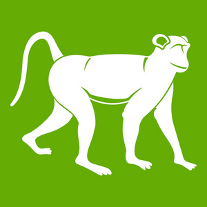 猴图标绿色