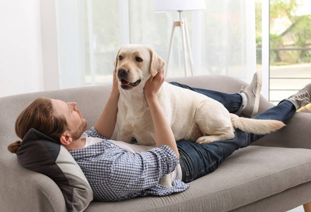 可爱的黄色拉布拉多猎犬与拥有人在沙发室内