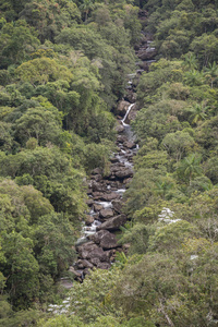 美丽的绿色大西洋雨林河风景在 Itatiaia 国家公园, 塞拉大 Mantiqueira, 里约热内卢, 巴西