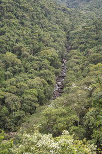 美丽的绿色大西洋雨林河风景在 Itatiaia 国家公园, 塞拉大 Mantiqueira, 里约热内卢, 巴西